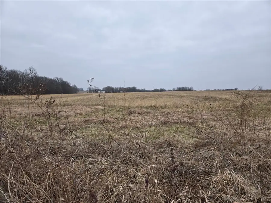 E 295th Street, Harrisonville, MO 64701 - #2