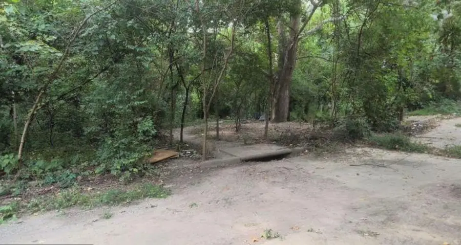 1209 Vermont Avenue, Kansas City, KS 66102 - #2