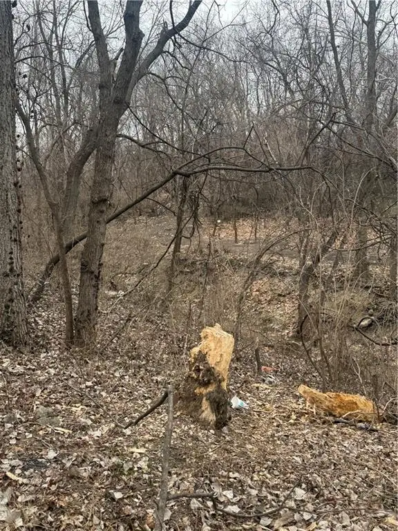 1209 Vermont Avenue, Kansas City, KS 66102 - #3