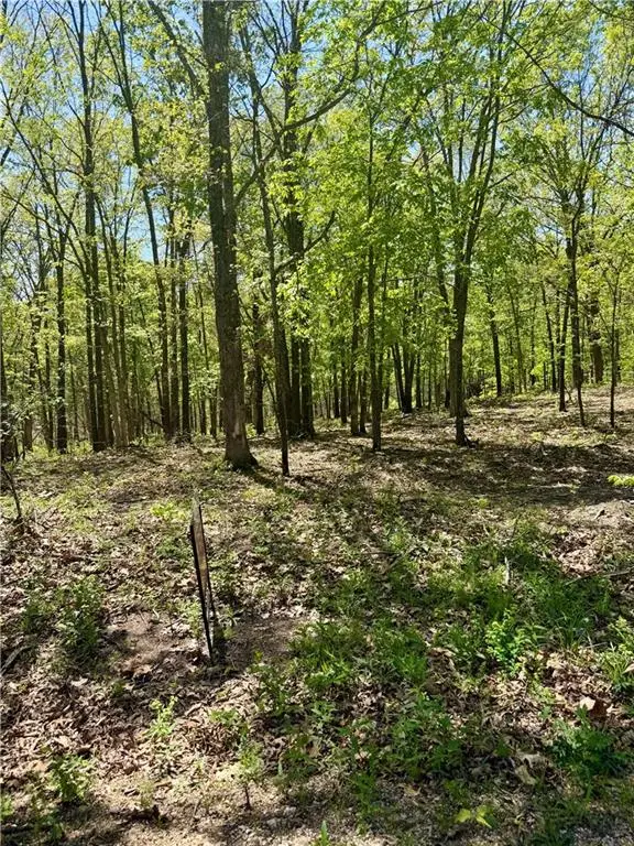 Cliff House Drive, Edwards, MO 65326 - #1