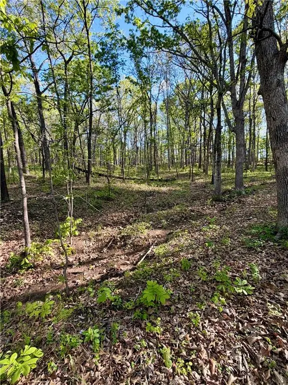Cliff House Drive, Edwards, MO 65326 - #2
