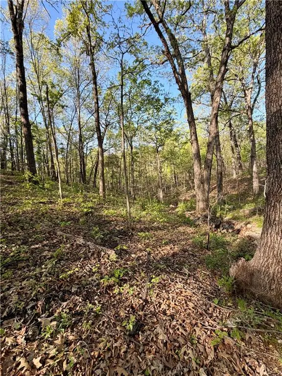 Cliff House Drive, Edwards, MO 65326 - #3