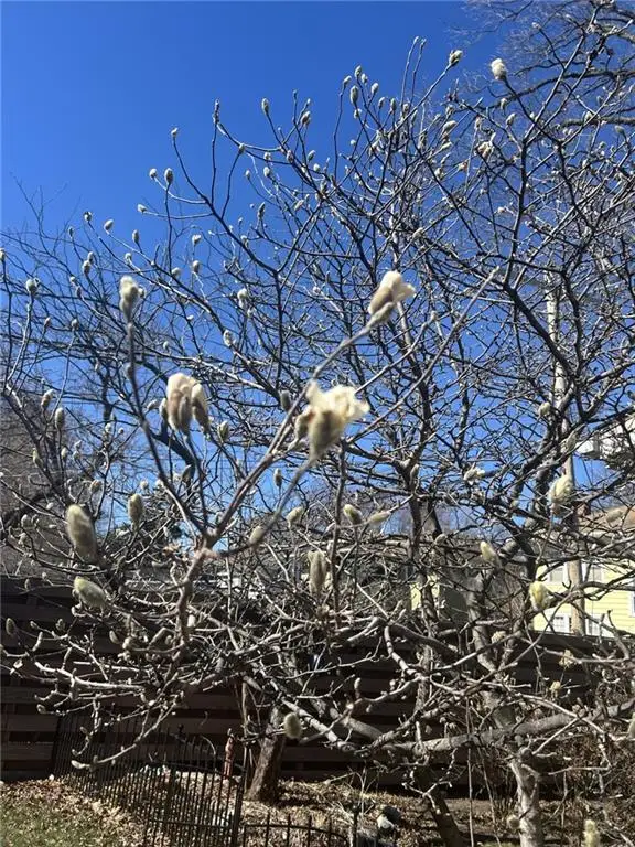 1309 Askew Avenue, Kansas City, MO 64127