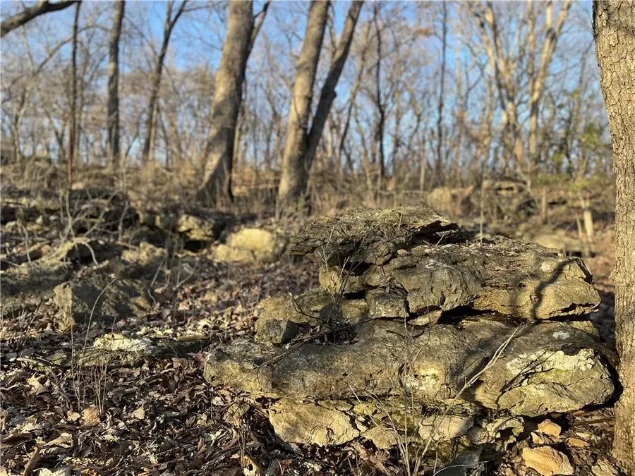 TBD W 172 Terrace, Stilwell, KS 66085 - #3