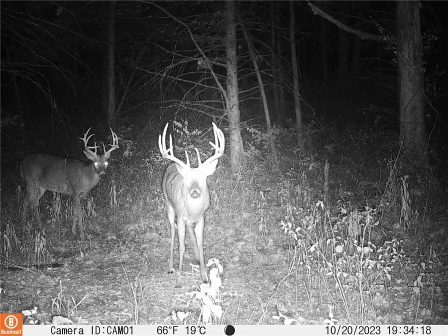 1801 Brown Avenue, Osawatomie, KS 66064 - #2