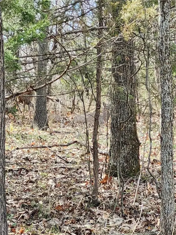 25 Shadow Lane, Linn Valley, KS 66040 - #2