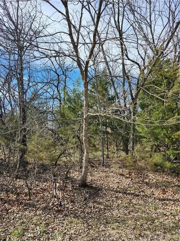 25 Shadow Lane, Linn Valley, KS 66040 - #3