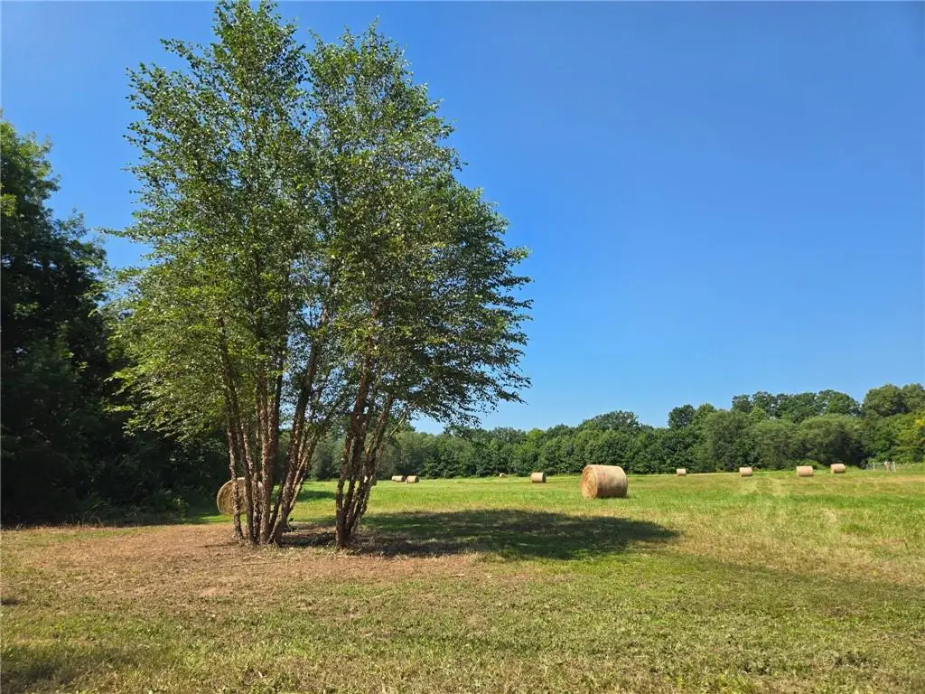 425 SE 611th - Tract A - Road, Clinton, MO 64735 - #1