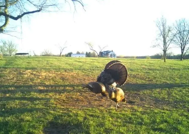 160 Terrace, Smithville, MO 64089 - #3