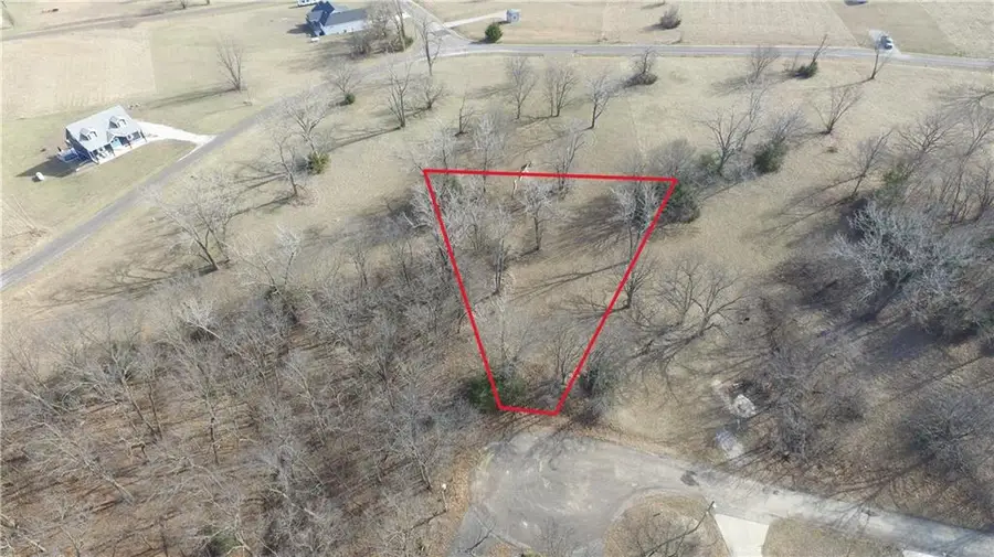 Lot 1613 Firefly Court, Altamont, MO 64620 - #3