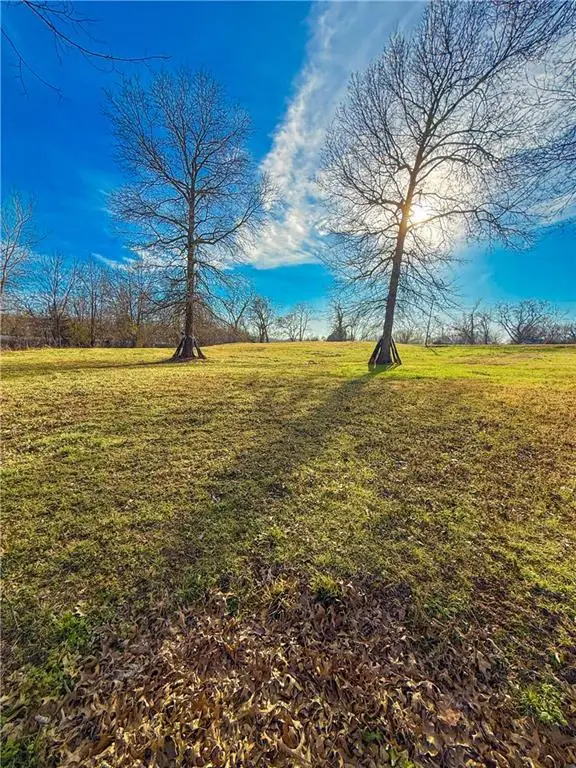 1207 S Cedar Street, Nevada, MO 64772 - #2