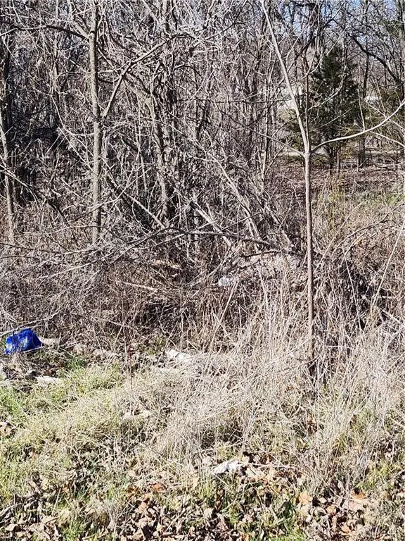 37 Oakdale Court, Linn Valley, KS 66040