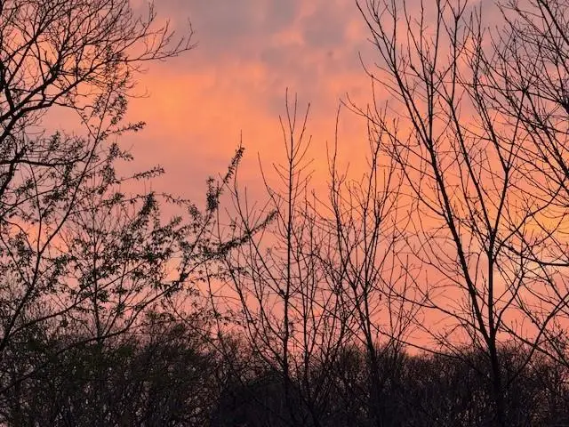 Lot 4 Lakeview Drive, Plattsburg, MO 64477 - #2