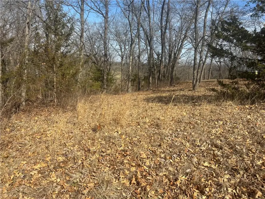 Lot 3109 Lake Viking Terrace, Altamont, MO 64620 - #2