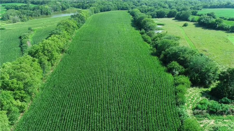 9226 427 Road, Savannah, MO 64485 - #3