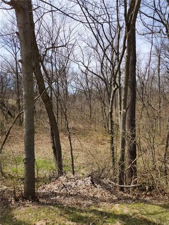 8823 Cleveland Avenue, Kansas City, KS 66109 - #3