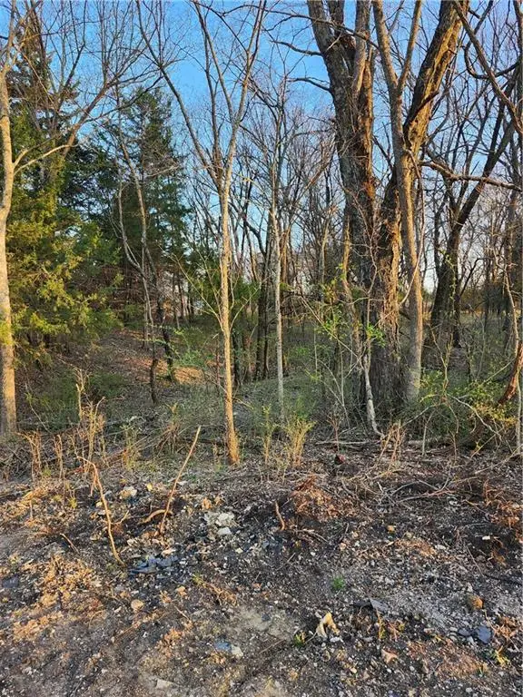 62 S Linn Valley Drive, Linn Valley, KS 66040 - #1