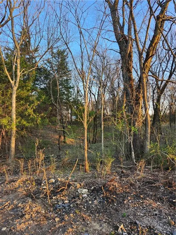 62 S Linn Valley Drive, Linn Valley, KS 66040 - #3