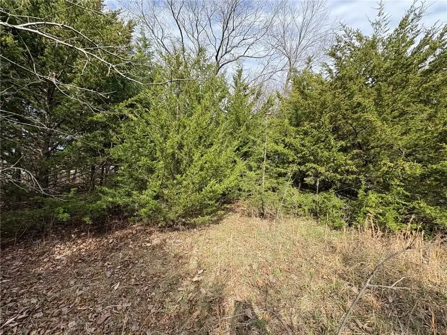 5 Itasca Lane, La Cygne, KS 66040 - #2