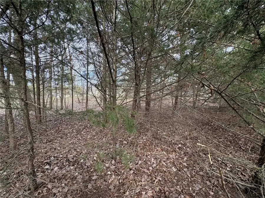 5 Itasca Lane, La Cygne, KS 66040 - #3