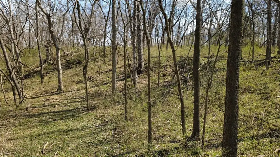 1611 Sunrise Drive, Smithville, MO 64089 - #3