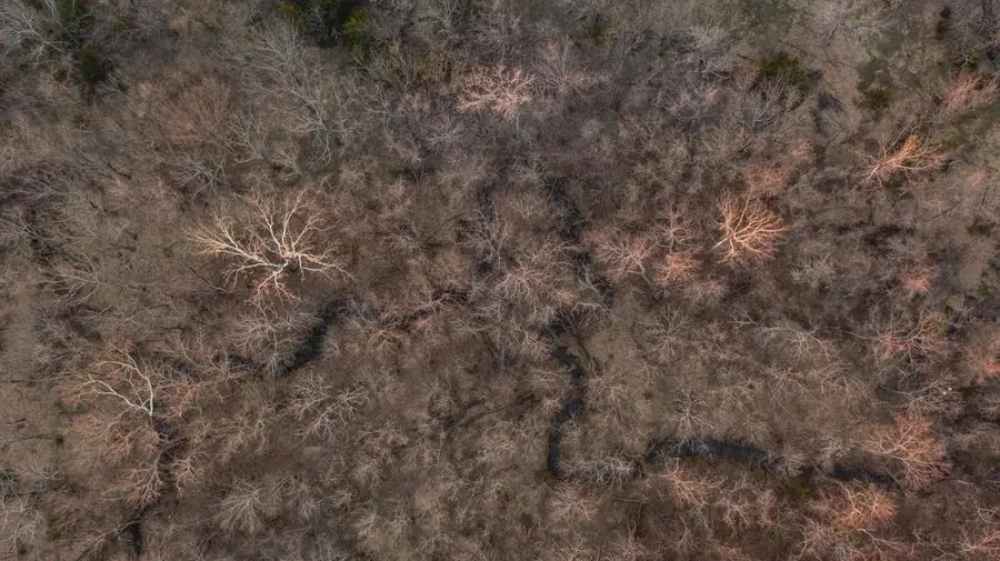 15017 Botkin Road, Centerville, KS 66014 - #3