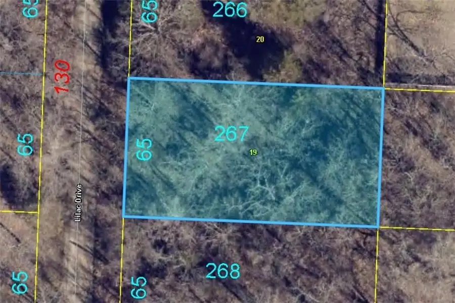 Plat B Lot 267 Lilac Drive, Lake Lafayette, MO 64076 - #2
