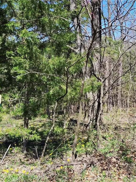 187 Wilderness Trail, Linn Valley, KS 66040 - #1