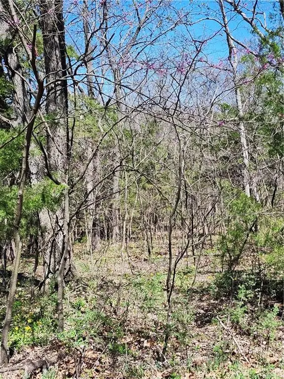 187 Wilderness Trail, Linn Valley, KS 66040 - #2