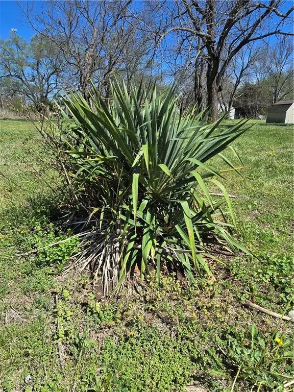 102 Sycamore Street, Pleasanton, KS 66075 - #3