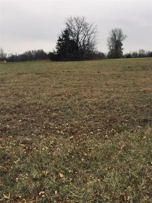 22 Fox Run Drive, Mound City, KS 66056 - #1