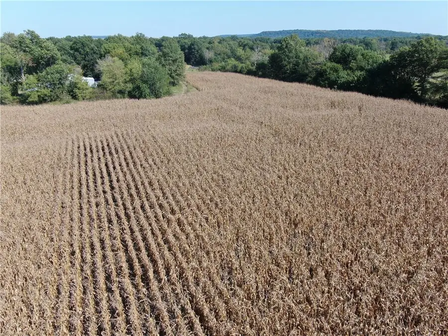 2000th Road, Lacygne, KS 66040 - #3