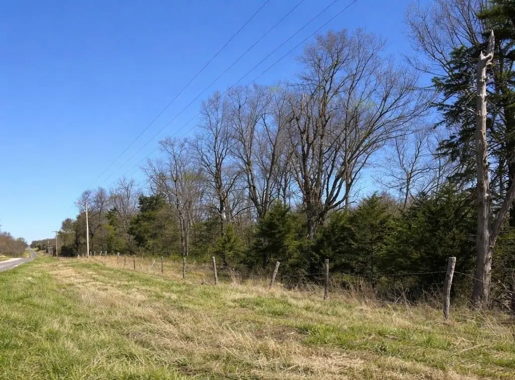 E Highway, Green Ridge, MO 65332 - #1