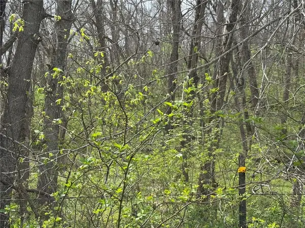 tbd NW 900* Road, Warrensburg, MO 64093