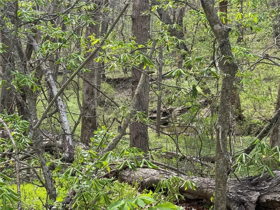 tbd NW 900* Road, Warrensburg, MO 64093 - #2