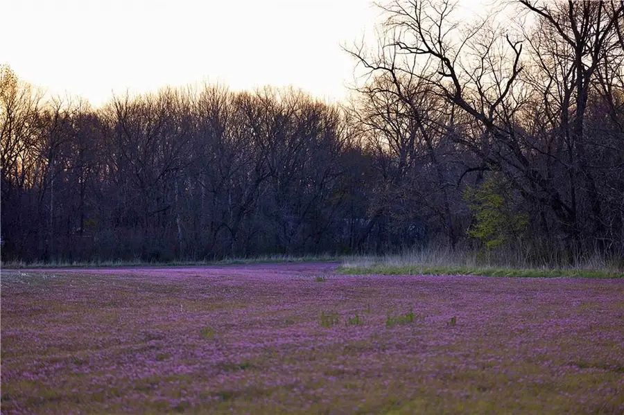 Williams Road, Dearborn, MO 64439 - #2