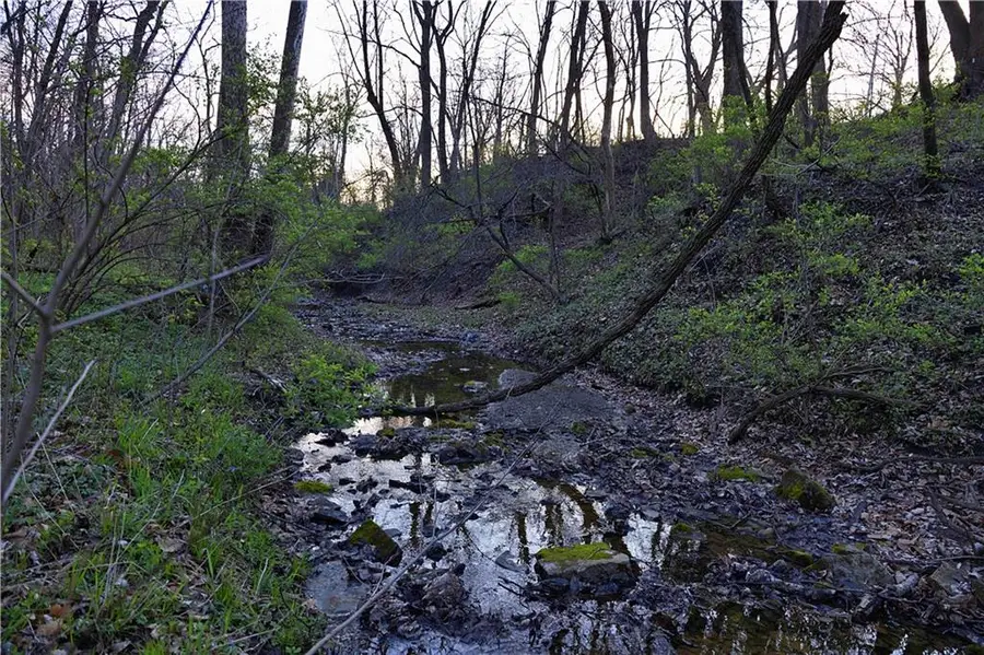 0001 Williams Road, Dearborn, MO 64439 - #3