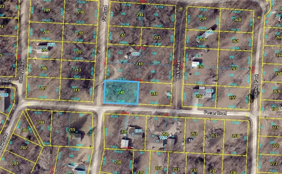 Plat H Lot 193 Pecan Road, Lake Lafayette, MO 64076 - #3