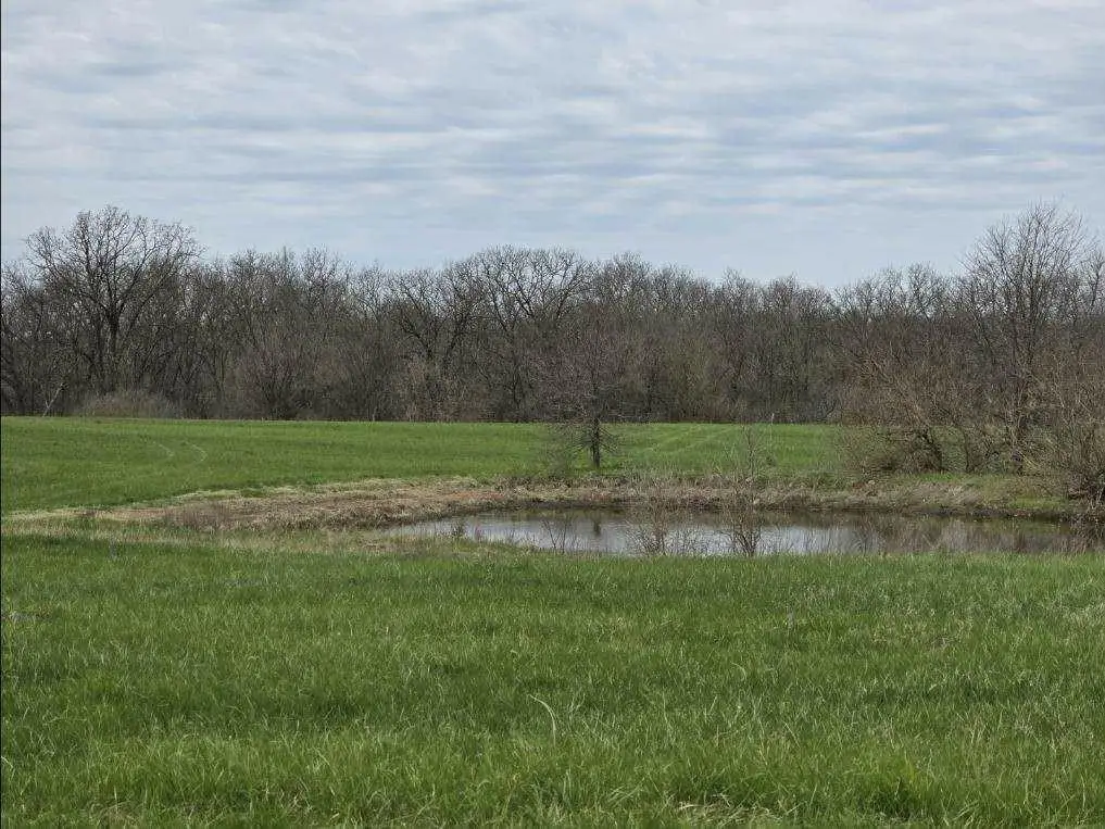 TBD SW 295 Road, Holden, MO 64040 - #1