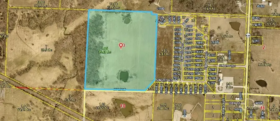 TBD SW 295 Road, Holden, MO 64040 - #2