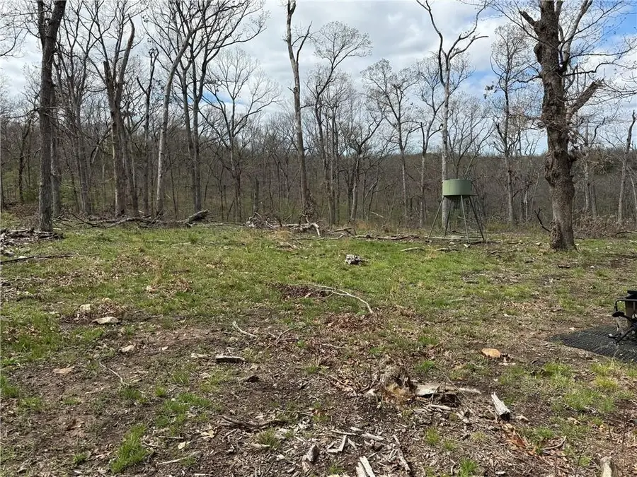 991 SE 976 Road, Deepwater, MO 64740 - #3