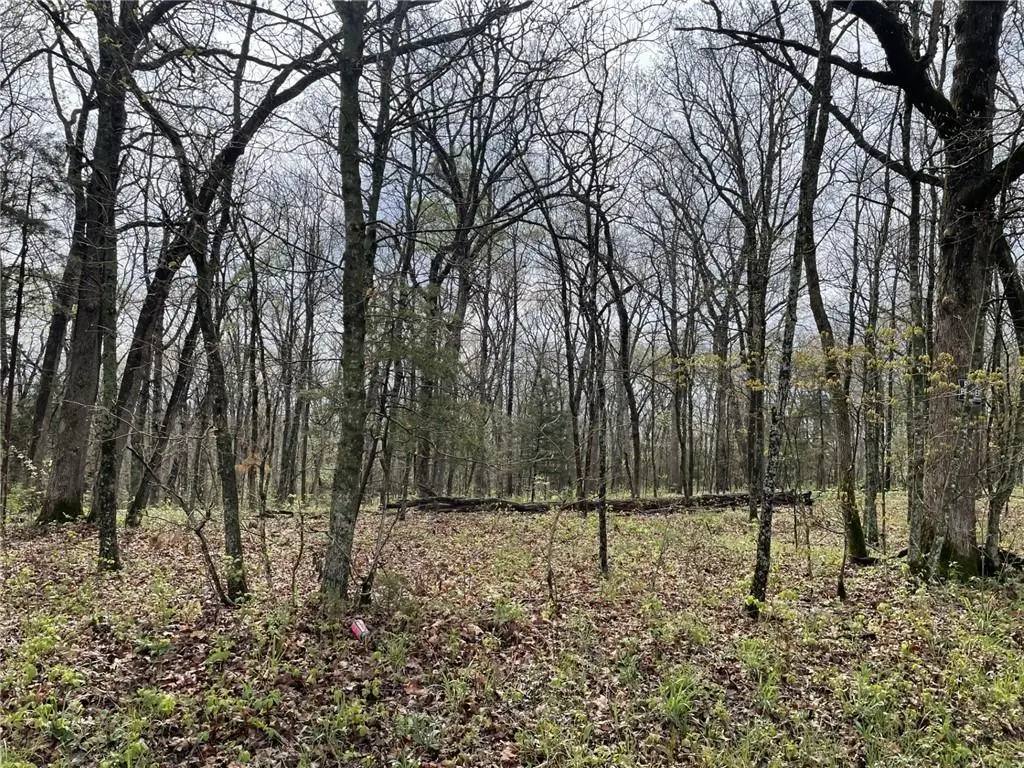 Kullman Road, Lincoln, MO 65338 - #1