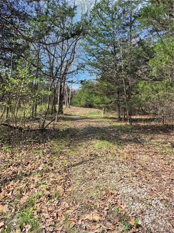 7905 SE 375th Road, Collins, MO 64738 - #2