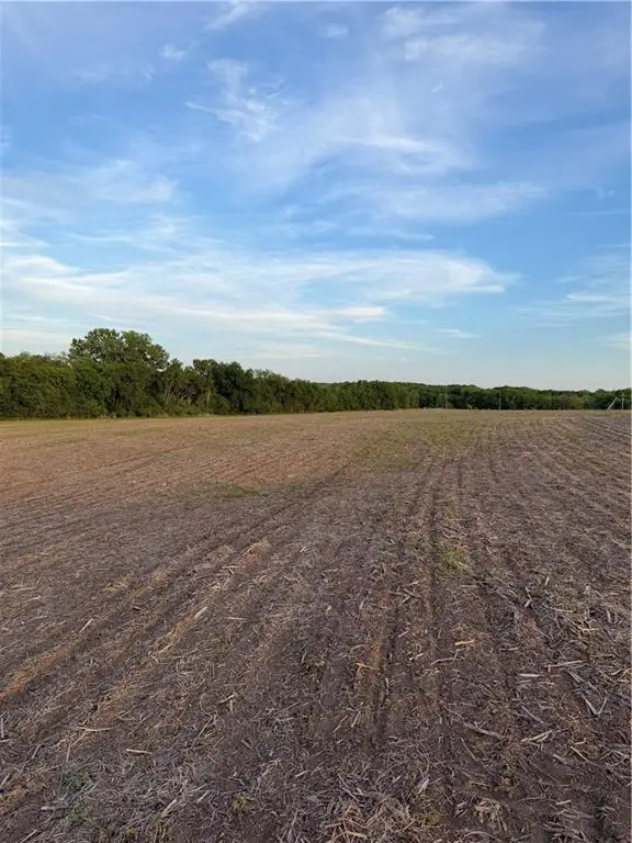 NE Irwin Road, Weatherby, MO 64497 - #2