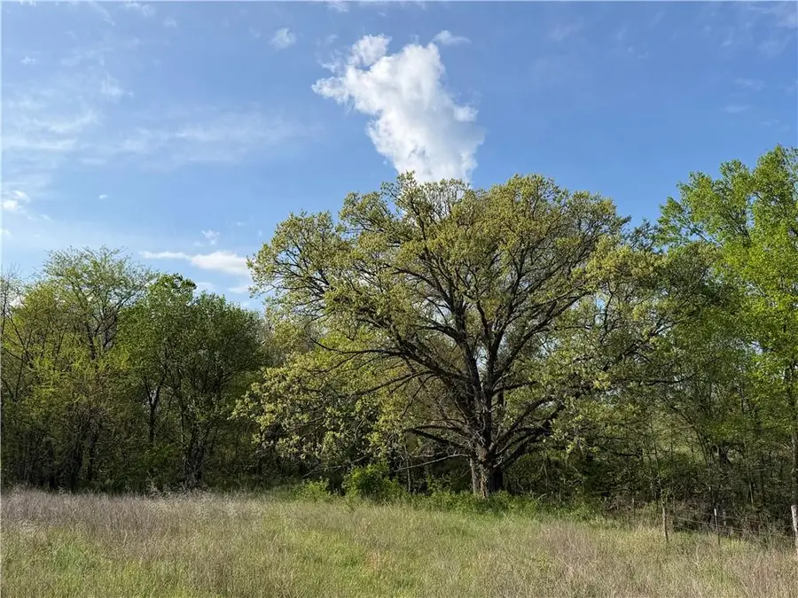 C Highway, Albany, MO 64402 - #3