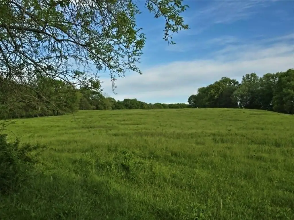 XXX 163.5 +/- Acres N Highway, Clinton, MO 64735 - #1