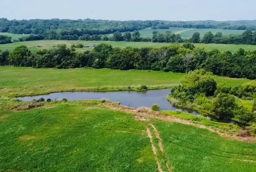 4159 Nw State Route Ff Highway, East Boone, MO 64730 - #3