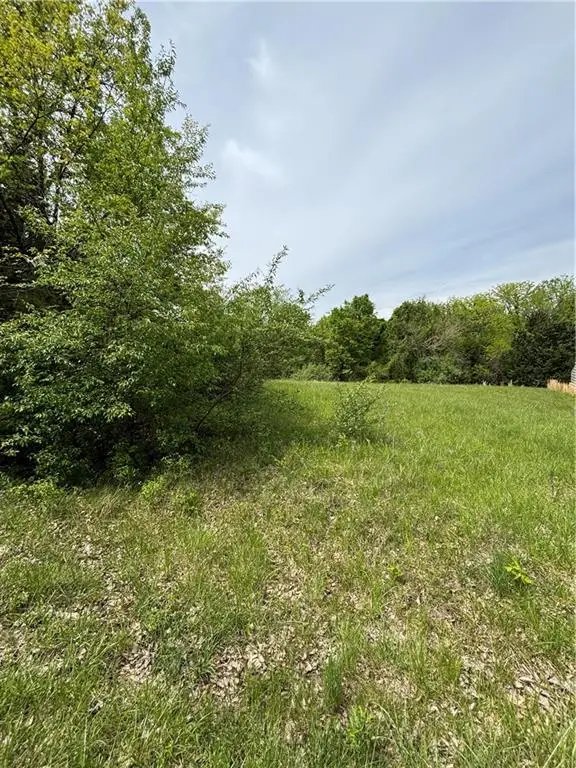Lot 2328 Oar Road, Gallatin, MO 64640 - #3