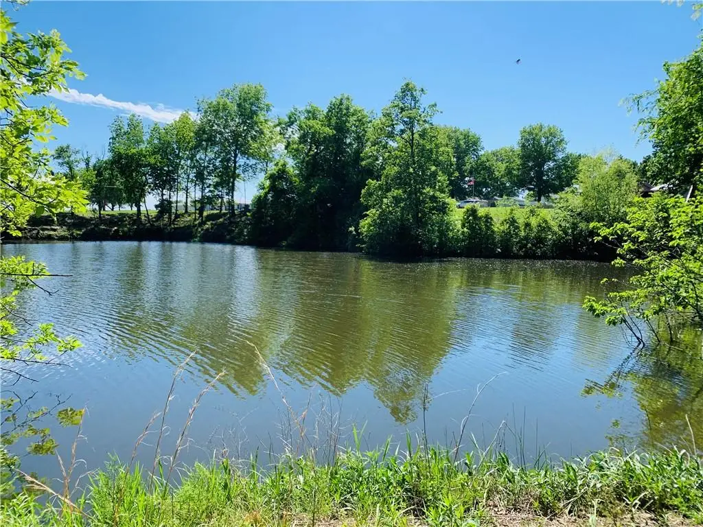 505 S Broadway Street, Butler, MO 64730 - #1