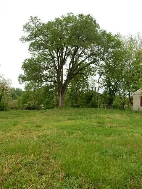 605 Hillcrest Street, Knob Noster, MO 65336 - #1